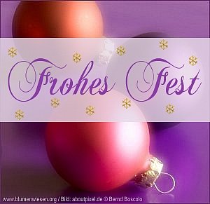www.blumenwiesen.org Weihnachtskarte Lila Kugeln Frohes Fest