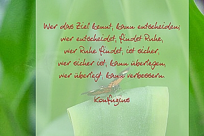 Konfuzius